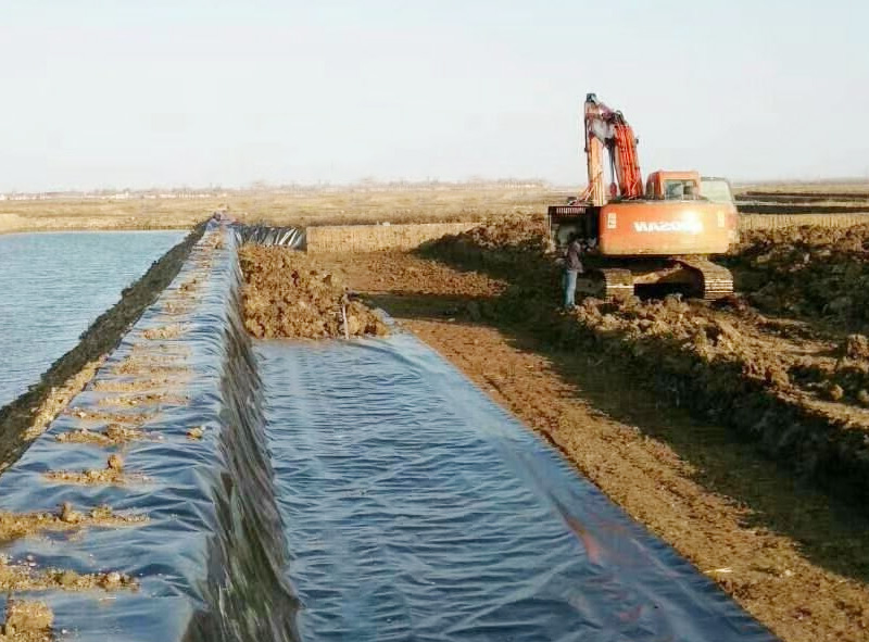 河北藕池防渗专用膜铺设现场.jpg